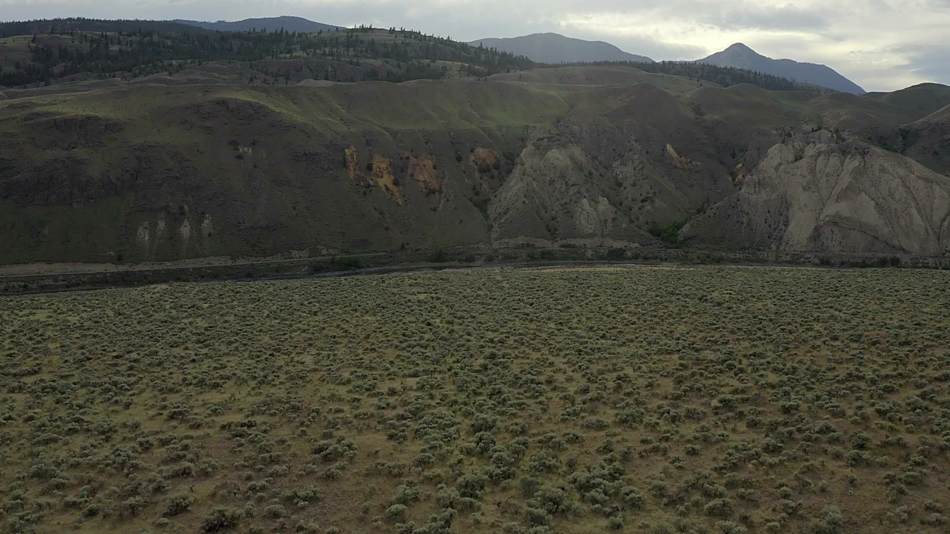 Golden grasslands rising above the Thompson River valley